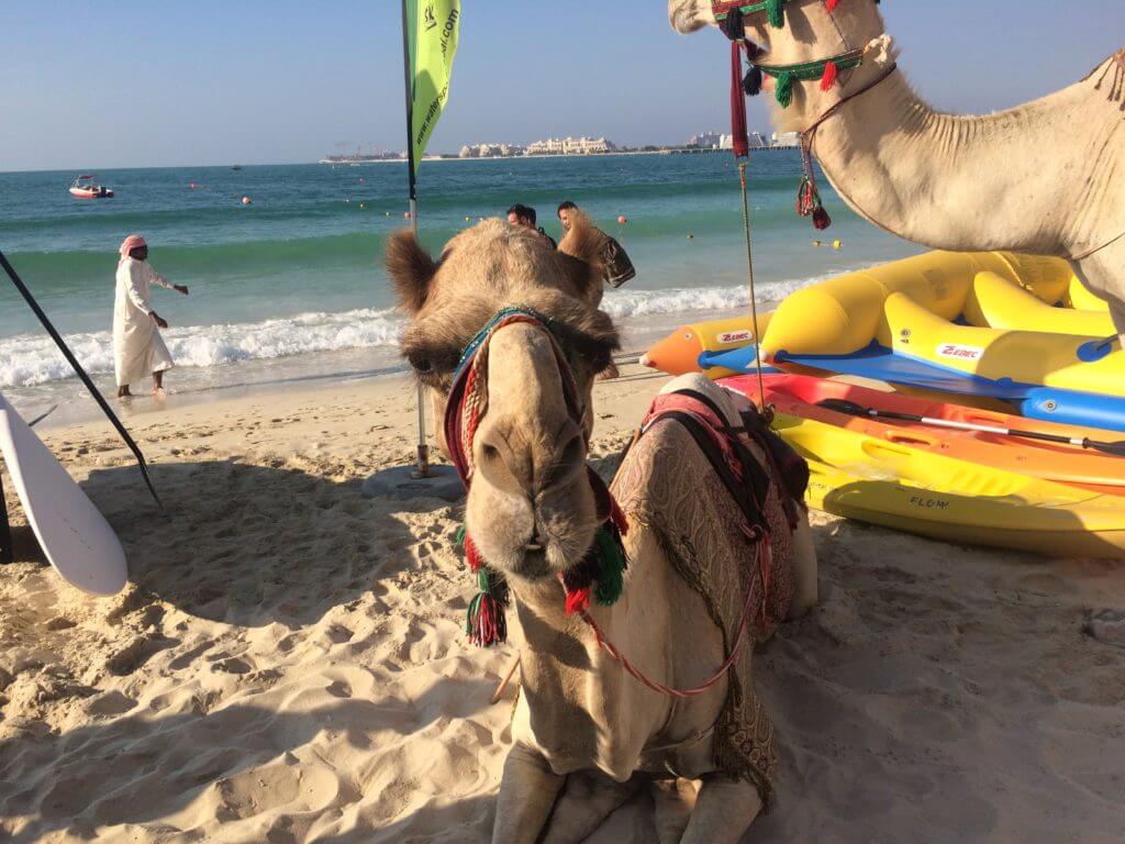 Dubai strand