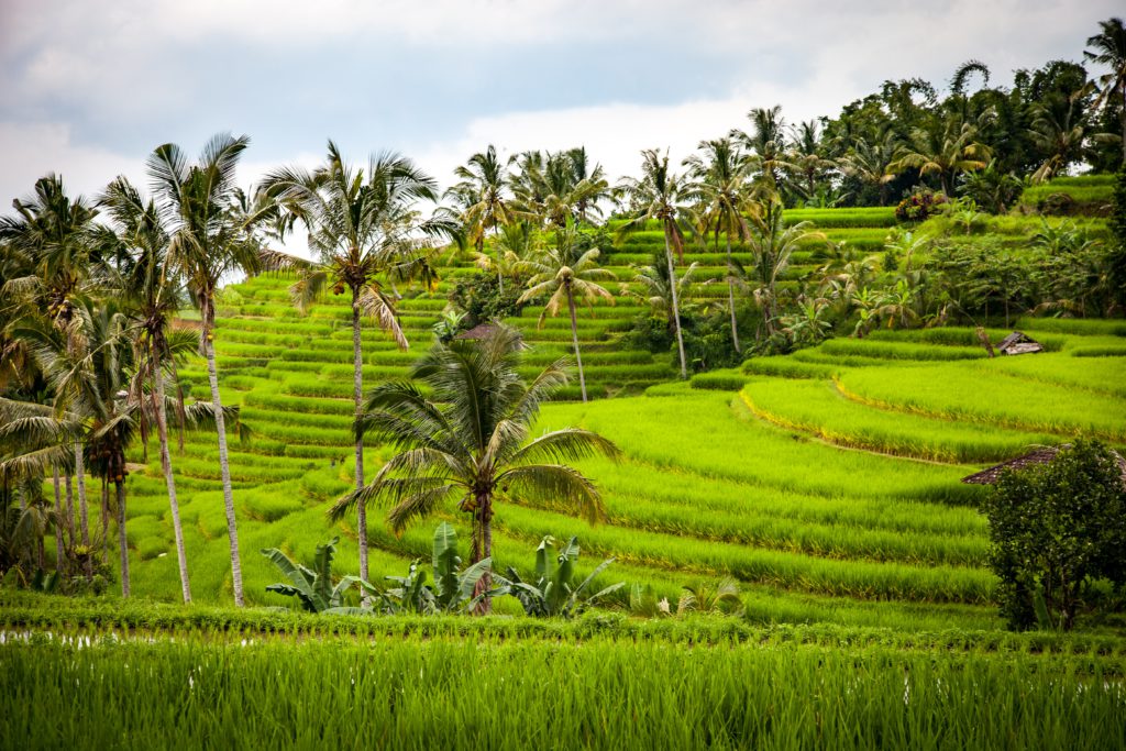 Indonesie bucketlist