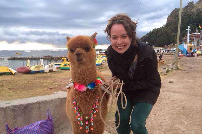 Alpaca Copacabana Bolivia